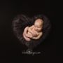 Photo of Bloom Images