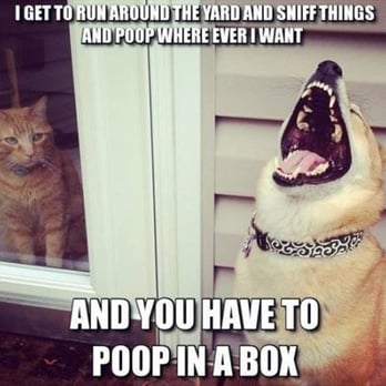 Scoop Up Poop - Pet Waste Removal Near Me - Orange, California
