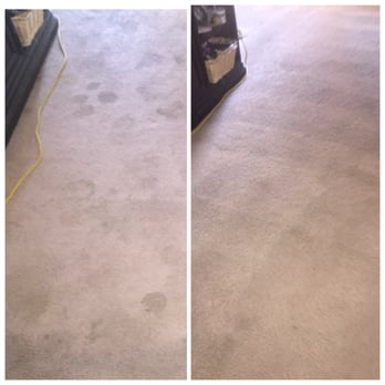 Come Clean Carpet Care - Carpet Cleaning Near Me