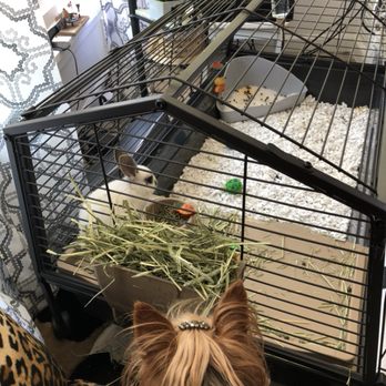 1. Mickie's Pet Care & Sitting
