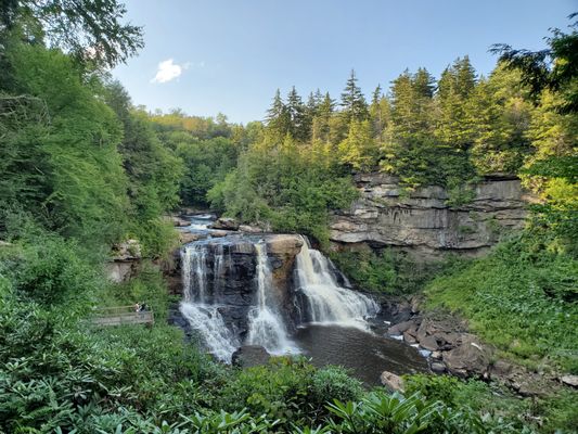 Blackwater Falls by null
