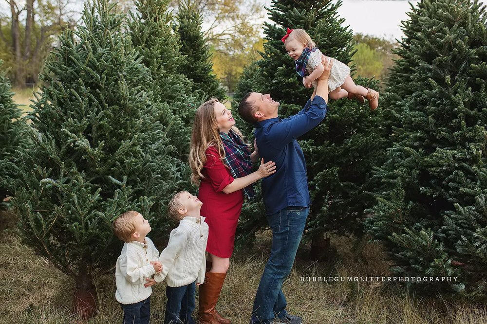 Gordy's Christmas Tree Service