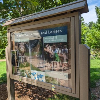 Duke University Lemur Center - Zoos Near Me - Durham, North Carolina