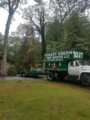 Professional Tree Trimming to Keep Your Trees Healthy - Trying to keep your trees healthy is a time consuming task. Trimming is a key factor in the process—and it’s also one that’s easy to do wrong. Many individuals don’t have a good grasp of which branches need to be trimmed in order to produce the best results, and so may end up doing something that will damage their tree. Working with a professional can help you avoid this issue and keep your trees healthy.
At Forest Green Tree Service, we have over 15 years of combined experience providing clients with outstanding tree trimming service. We use top-of-the-line equipment and work with care in order to make sure that you get the best possible end results. Professional Tree Trimming to Keep Your Trees Healthy - Trying to keep your trees healthy is a time consuming task. Trimming is a key factor in the process—and it’s also one that’s easy to do wrong. Many individuals don’t have a good grasp of which branches need to be trimmed in order to produce the best results, and so may end up doing something that will damage their tree. Working with a professional can help you avoid this issue and keep your trees healthy.
At Forest Green Tree Service, we have over 15 years of combined experience providing clients with outstanding tree trimming service. We use top-of-the-line equipment and work with care in order to make sure that you get the best possible end results.