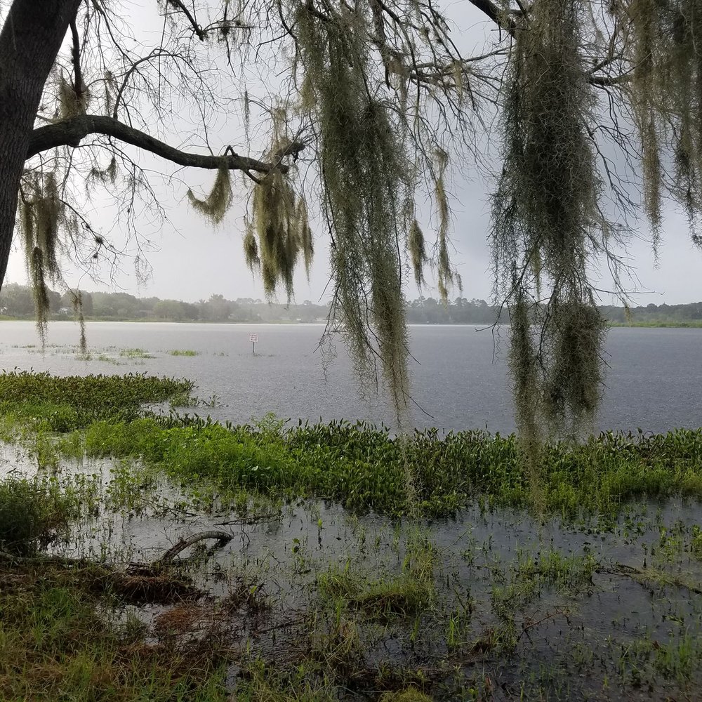 Prairie Lake Park - Parks Near Me - Ocoee, Florida