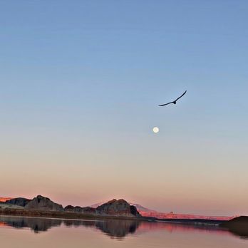 Lone Rock - Lake Powell 2021 - Beaches Near Me - Big Water, Utah