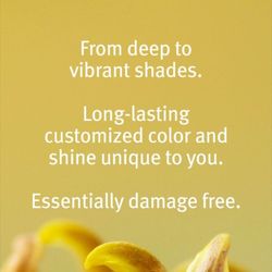 Grassroots A Salon - Aveda Color