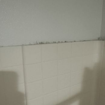 Quality Inn & Suites - Mold - Hotels Near Me - Santa Rosa, California