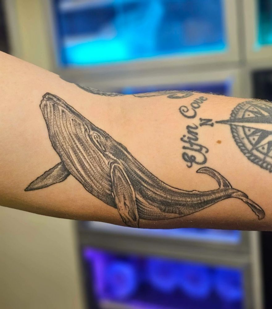 King Kaiden Tattooing Logo