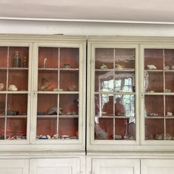 Linnémuseet - Display case of items collected by Linnaeus