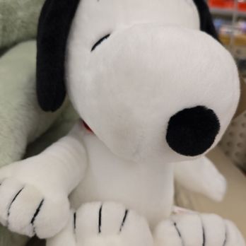 Walgreens - What a cutie!! - Cosmetics & Beauty Supply Near Me - Coolidge, Arizona