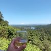 Monte Ferro Winery gift card