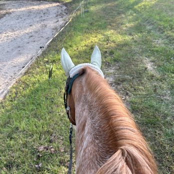 Cantrell Farm - Horseback Riding Near Me - Mills River, North Carolina