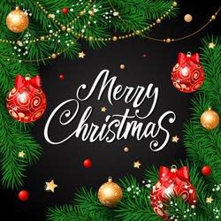 Quality Dry Cleaners - Merry Christmas and a Happy New Year to all of our Costumes.