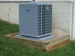 Slide of Appleton Campbell