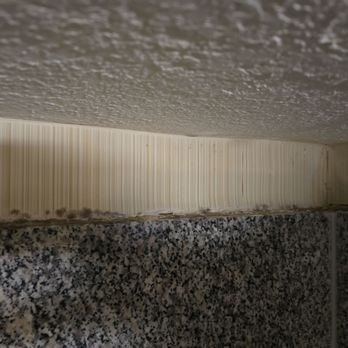 Circus Circus - Circus Circus room black mold - Hotels Near Me - Las Vegas, Nevada Circus Circus - Circus Circus room black mold - Hotels Near Me - Las Vegas, Nevada