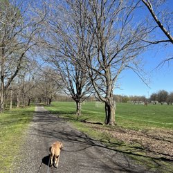 E.P. Tom Sawyer State Park - Dogs welcome on leashes. And soccer!