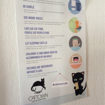 Cat Town - Animal Shelters Near Me - Oakland, California