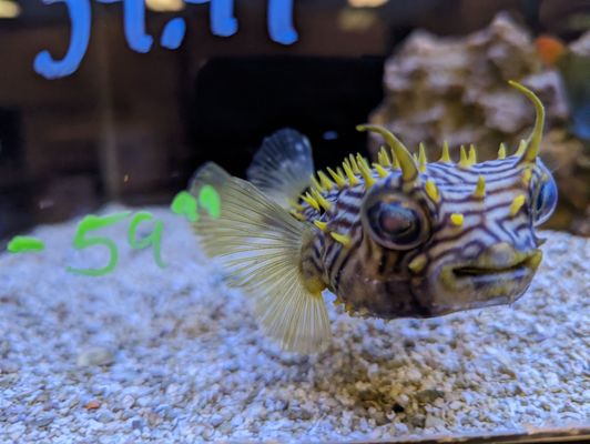 Fish Freakls FISH FREAKS - Updated April 2026 - 31 Photos & 38 Reviews - 2502 S ...