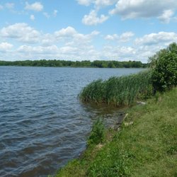 Assunpink Wildlife Management Area - A picture of Assunpink Lake. It is beautiful!