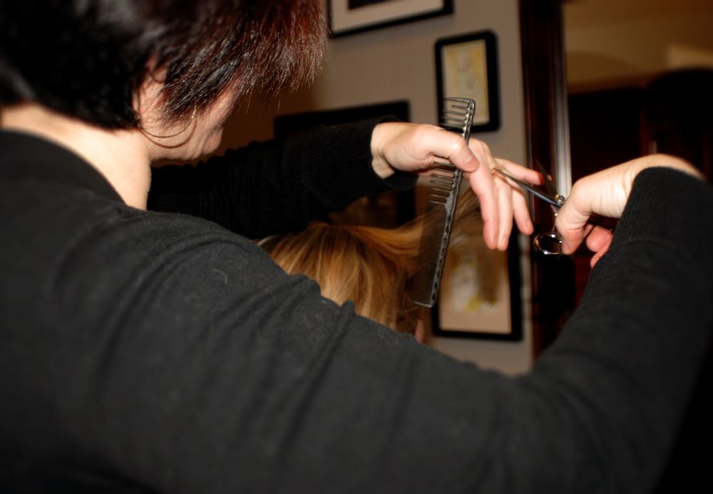 Lisa Friedman Hair Logo