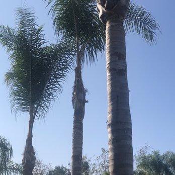 Pro Select Construction Services  - After being skinned - General Contractors Near Me - Escondido, California