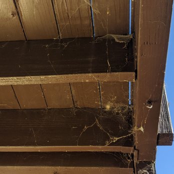 Terminix - Pest Control Near Me - San Diego, California Terminix - Pest Control Near Me - San Diego, California
