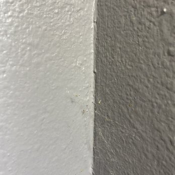Super 8 by Wyndham Slidell - Spider web in the corner of the wall - Hotels Near Me - Slidell, Louisiana Super 8 by Wyndham Slidell - Spider web in the corner of the wall - Hotels Near Me - Slidell, Louisiana