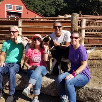 Stepladder Ranch & Creamery - Hanging with the Goats! - Ranches Near Me - Cambria, California