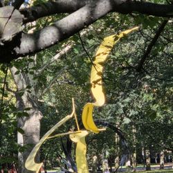 Pratt Institute