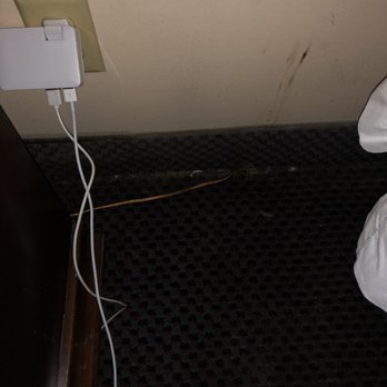 Wayne Inn - Sunflower seeds on the floor and stains on the wall - Hotels Near Me - Wayne, New Jersey