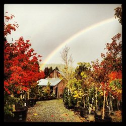 New Hope Nursery - Rainbow