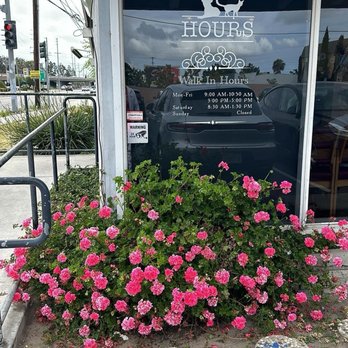 Alamitos Animal Hospital - Hours - Veterinarians Near Me - Westminster, California