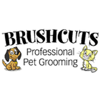 Brushcuts Professional Pet Grooming - Pet Groomers Near Me - Guelph, Ontario Brushcuts Professional Pet Grooming - Pet Groomers Near Me - Guelph, Ontario
