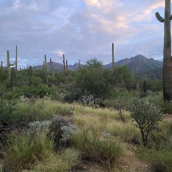 Sabino Canyon - Parks Near Me - Tucson, Arizona Sabino Canyon - Parks Near Me - Tucson, Arizona
