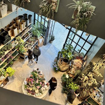 Anthropologie - First floor plants section - Women's Clothing Near Me - Los Angeles, California Anthropologie - First floor plants section - Women's Clothing Near Me - Los Angeles, California