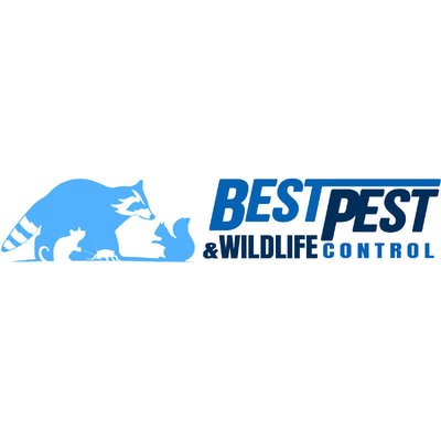 BEST PEST & WILDLIFE CONTROL - Updated February 2026 - 445 North Yucca