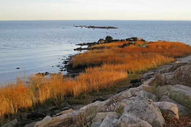 Westport Counseling & Therapy - grief counselor in Westport, CT