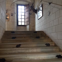 Château d'Azay le Ferron