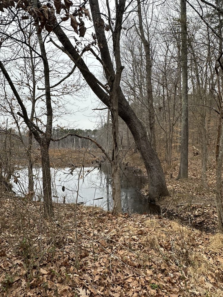 Sandy Creek Park Image