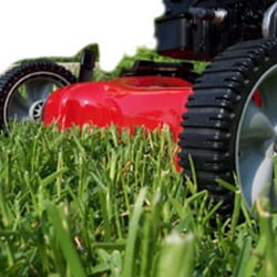 Landscape Creations - Mowing