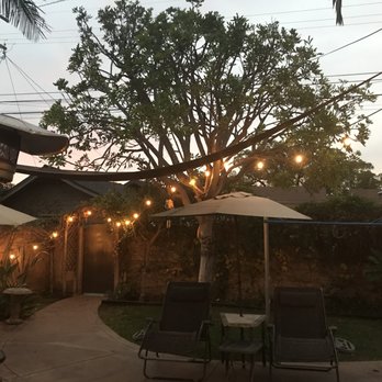 Walt's Tree Service - Tree Services Near Me