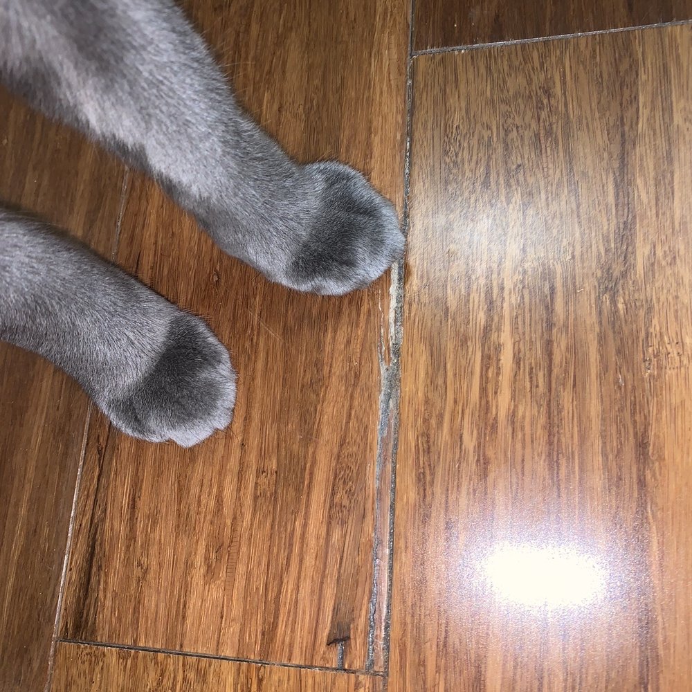 Dixie Carpet Installations - Cracked, new flooring does not lie flat. - Carpet Installation Near Me - Round Rock, Texas
