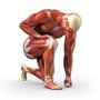 Photo of w2-sports-massage