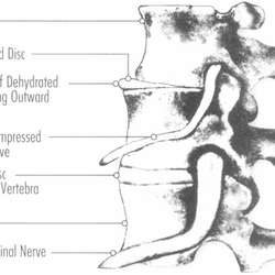 Manago Chiropractic