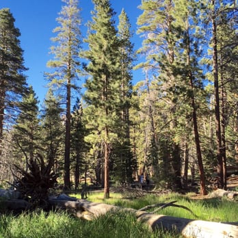 Mount San Jacinto State Park - Parks Near Me - Idyllwild, California
