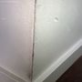 Photo of Euro Hardwood Flooring