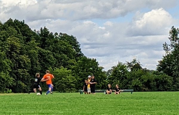 Field #2 by null