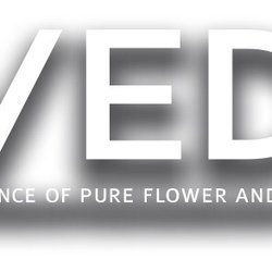 The Salon at Ridgewood Village - We now have Aveda!!!