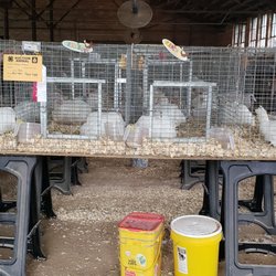 Green County Fairgrounds